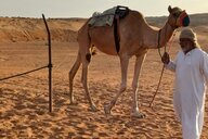 Reiseimpression von Doris