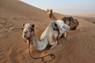 Reiseimpression von Frank