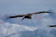 Reiseimpression von Jürgen