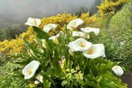 Reiseimpression von Sonja Frieda