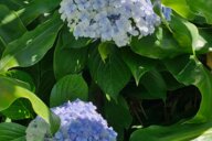 © inke Reiseimpression von inke