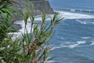 © inke Reiseimpression von inke