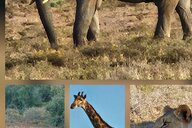 Reiseimpression von Alfred