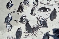 Reiseimpression von Brigitte 