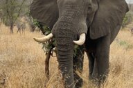 © Joachim Reiseimpression von Joachim