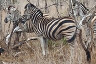 © Joachim Reiseimpression von Joachim