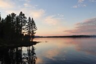 Reiseimpression von Bennet