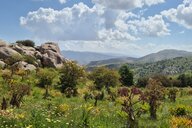 Reiseimpression von Dilek