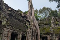 Reiseimpression von Tanja