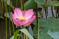 Reiseimpression von Tanja