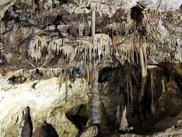 Tropfsteinhöhle Gadime | © Bildlizenzen von Shutterstock.com Tropfsteinhöhle Gadime | © Bildlizenzen von Shutterstock.com