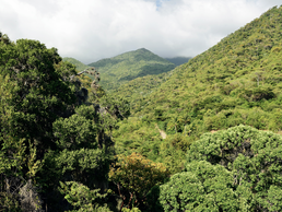 Sierra Maestra Kuba | © Bildlizenzen von Shutterstock.com Sierra Maestra Kuba | © Bildlizenzen von Shutterstock.com