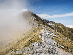 Am Kepler Track in Neuseeland | © Bildlizenzen von Shutterstock.com Am Kepler Track in Neuseeland | © Bildlizenzen von Shutterstock.com