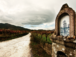 Auf dem Caminho Português | © MiguelDaSanta Amatar Auf dem Caminho Português | © MiguelDaSanta Amatar