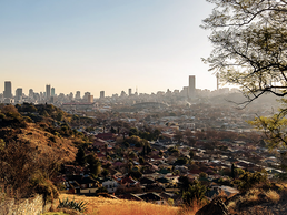 Johanesburg | © Bildlizenzen von Shutterstock.com Johannesburg | © Bildlizenzen von Shutterstock.com