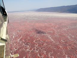 Natronsee | © Bildlizenzen von Shutterstock.com Blick aus dem Flugzeug auf den roten Natronsee | © Bildlizenzen von Shutterstock.com