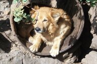 Jorge Santos Sobrino