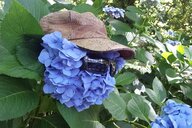 Jorge Santos Sobrino