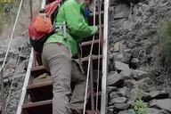 Otilia Maria Lagos  Camara