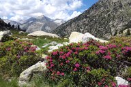 Aina Escrivà Liebhold