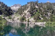 Aina Escrivà Liebhold