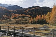 Birgit Lösch Schwienbacher