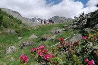 Birgit Lösch Schwienbacher