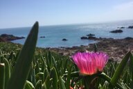 Christina "Anu" Steiner