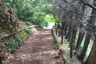 Nektarios Bachtsevanis