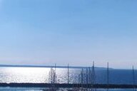 Nektarios Bachtsevanis