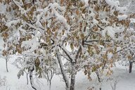 © Vera Rusanova Vera Rusanova