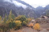 © Vera Rusanova Vera Rusanova