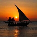 Kibwana Shafi Kibwana Shafi