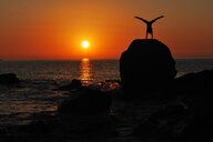 Vicki Bolterauer-Ogle