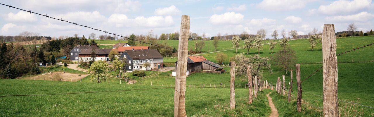 Feldweg am Bergischen Panoramasteig | © shutterstock.com Feldweg am Bergischen Panoramasteig | © shutterstock.com