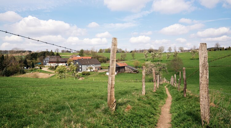 Feldweg am Bergischen Panoramasteig | © shutterstock.com Feldweg am Bergischen Panoramasteig | © shutterstock.com