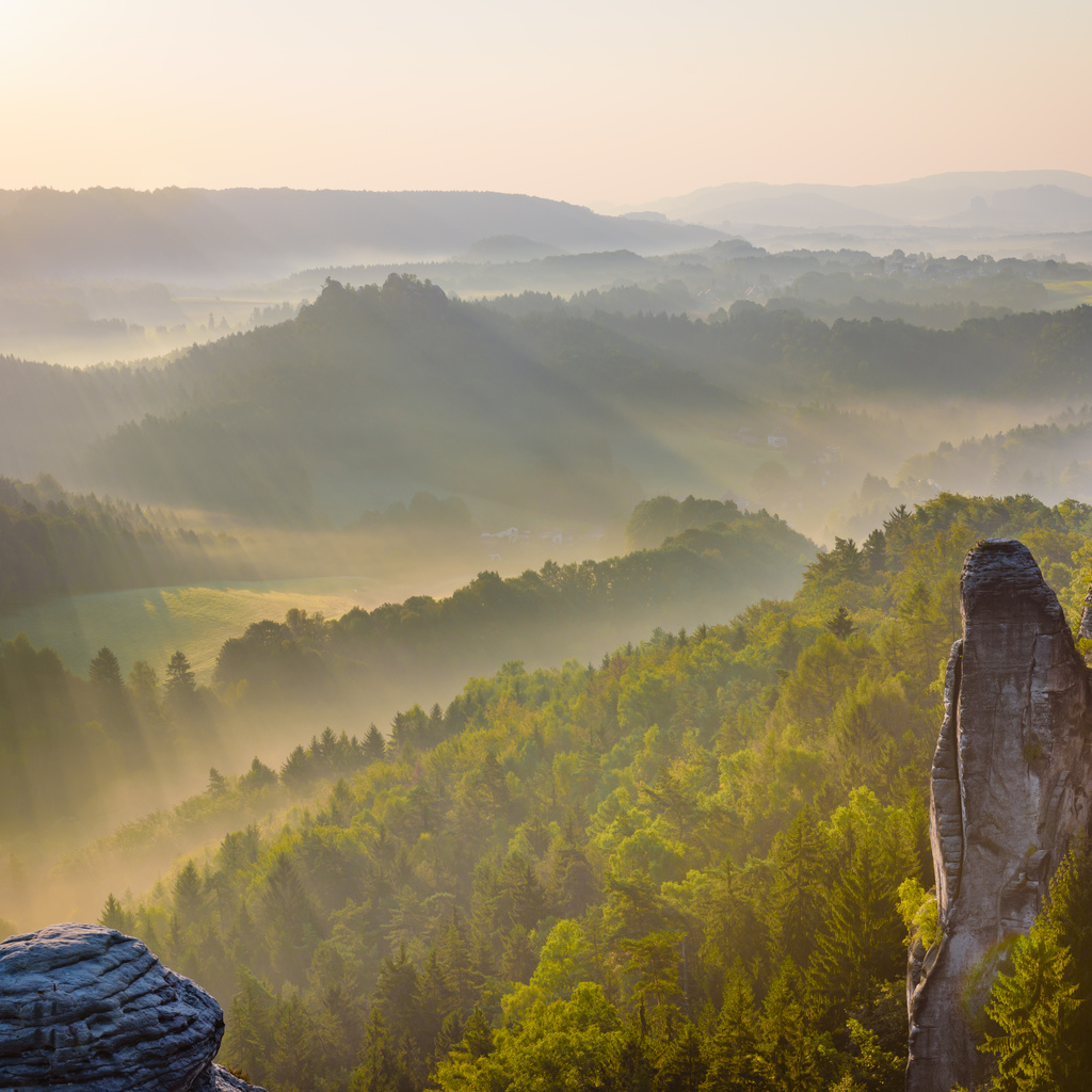 nebelverhangene Landschaft des Elbsandsteingebirges in der Sächsischen Schweiz