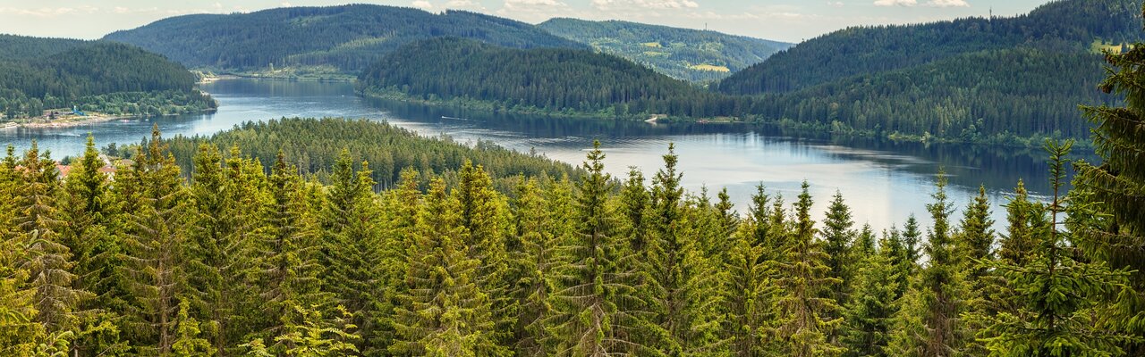 Schluchsee im Schwarzwald schluchtensteig-schwarzwald-schluchtensee