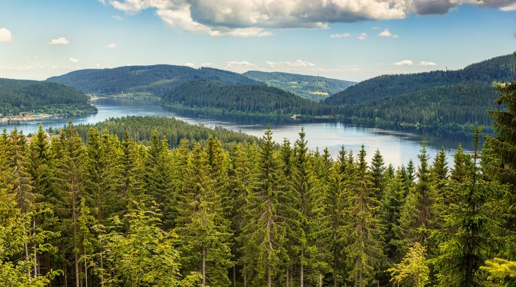 Schluchsee im Schwarzwald schluchtensteig-schwarzwald-schluchtensee