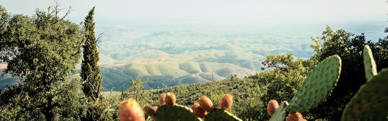 Aussicht von Picota auf die Serra de Monchique Aussicht von Picota auf die Serra de Monchique