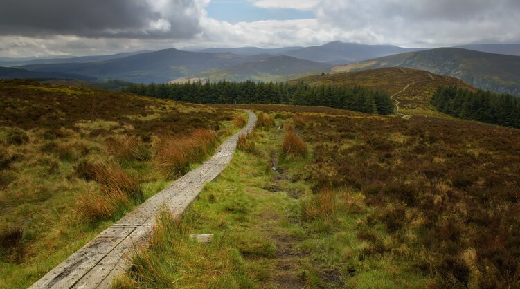 Unterwegs am Wicklow Way wicklow-way-holzsteg-durch-moorlandschaft