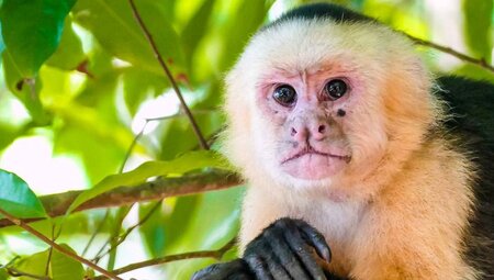 Bin ich nicht schön ?