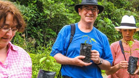 Bäume pflanzen im Regenwald