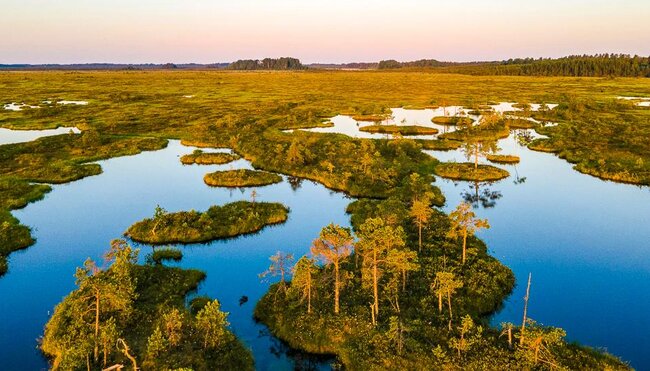 Moorseen im Soomaa Nationalpark