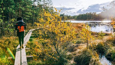 Wandern im Lahemaa Nationalpark