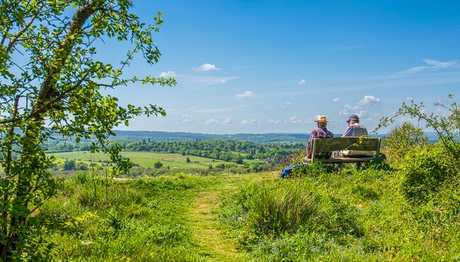 Surrey Hills