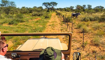 Fahrt über das Ouhave Farmgelände