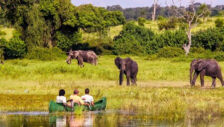 Kanufahrt auf dem Chobe