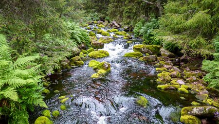 Stromschnellen im Nationalparks Fulufjället