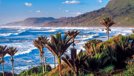 Küste der Halbinsel Coromandel